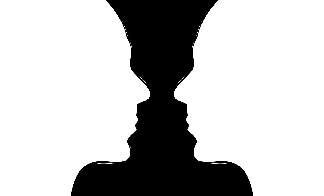 head, brain, thoughts-1965675.jpg